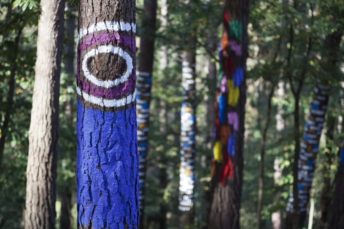 bosque oma euskadi