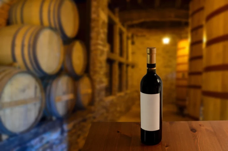 Visita a las bodegas de la Rioja